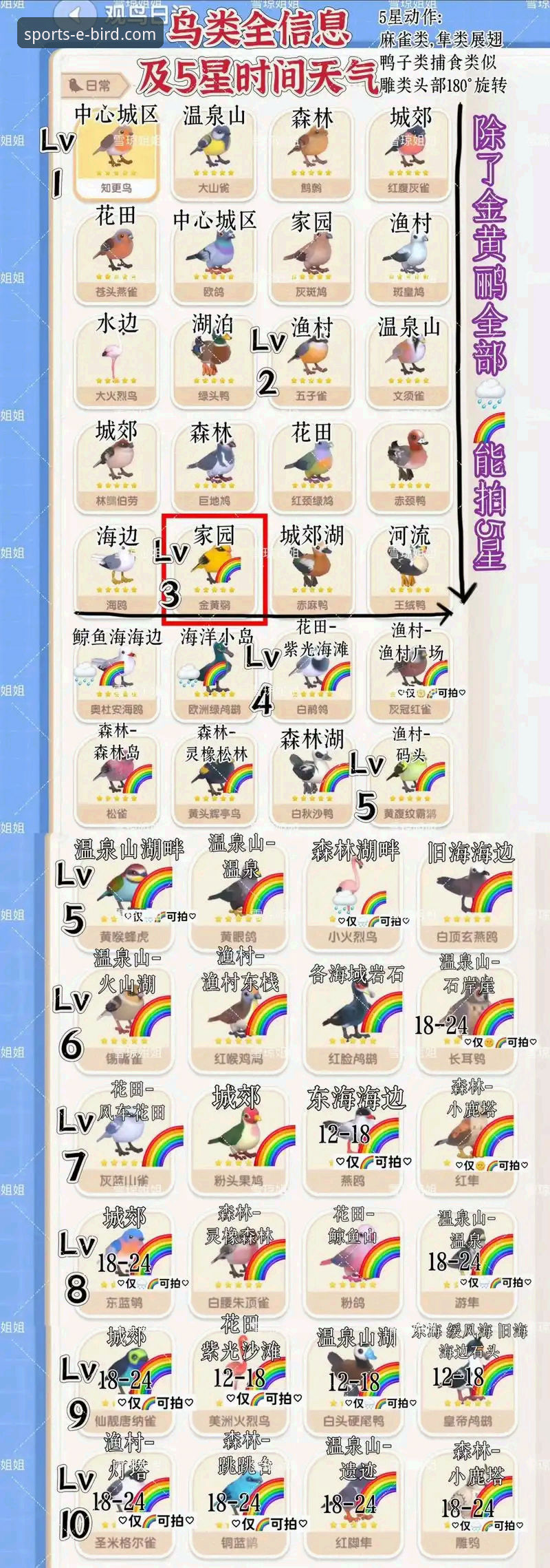 小鸟体育BIRD数据使用技巧完整指南：从入门到精通的创新探索
