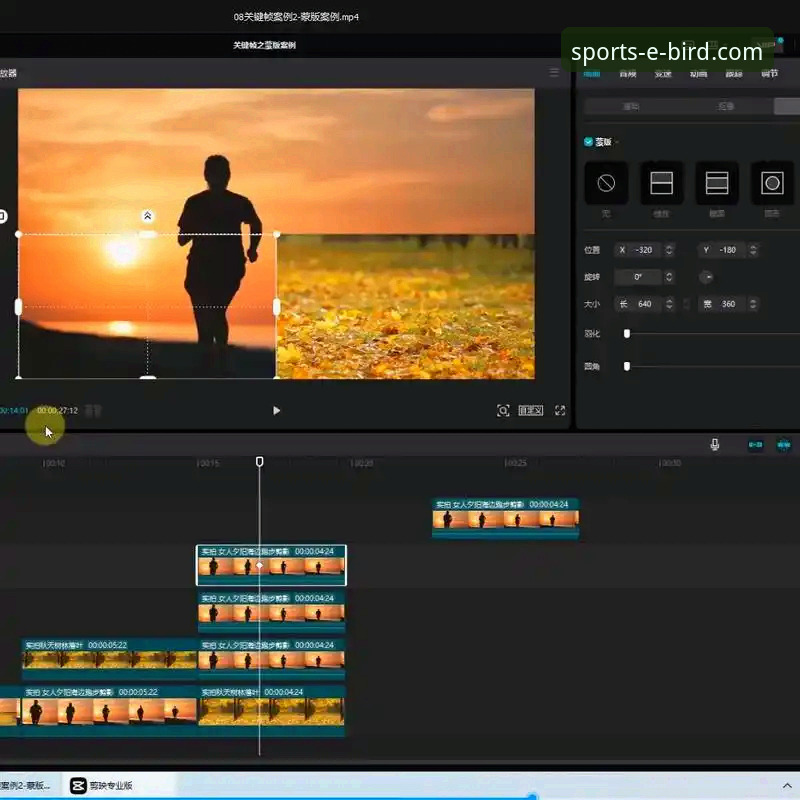 小鸟体育官网数据统计功能实战操作教程：从查询到深度分析
