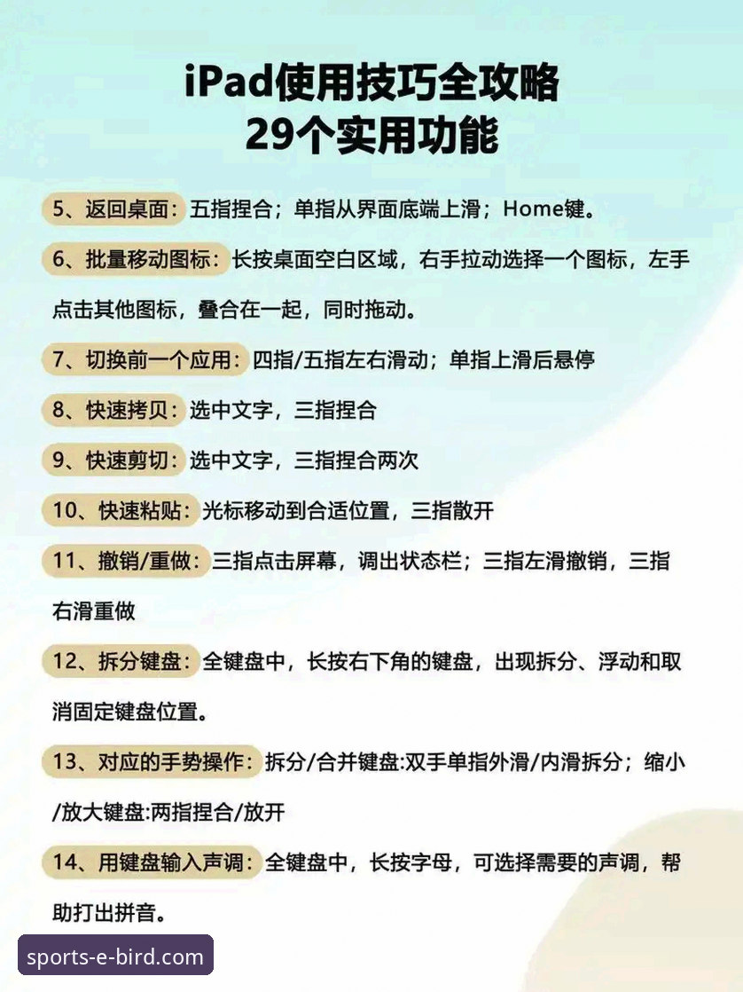 小鸟体育电脑版安装教程：从零开始的实用指南，轻松掌握赛事数据查询技巧